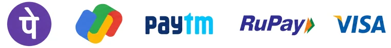 PhonePe, Google Pay, Paytm, RuPay and Visa payment options