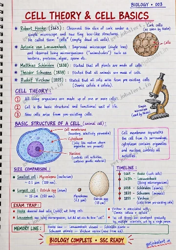Real handwritten Biology revision notes sample page