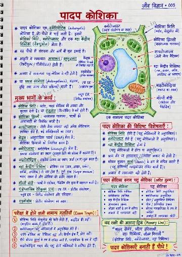 Real handwritten जीव विज्ञान revision notes sample page